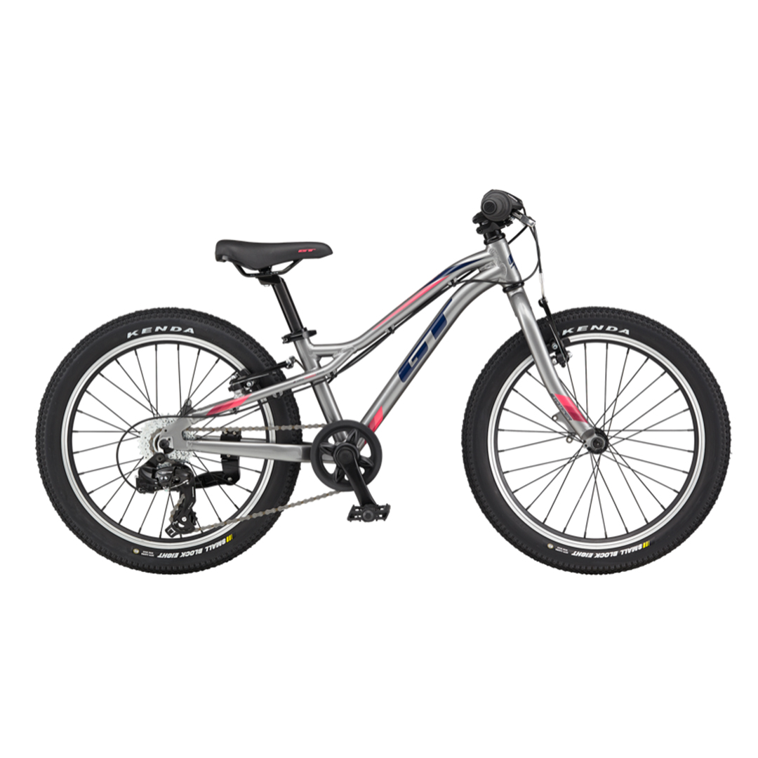 vintage muddyfox mountain bike