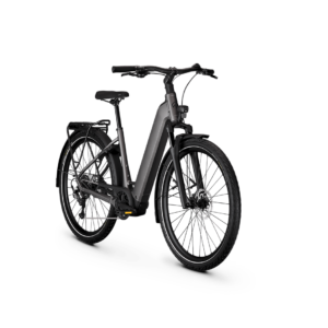 Kalkhoff 29 Endeavour Move Nepalsilver Gloss LG