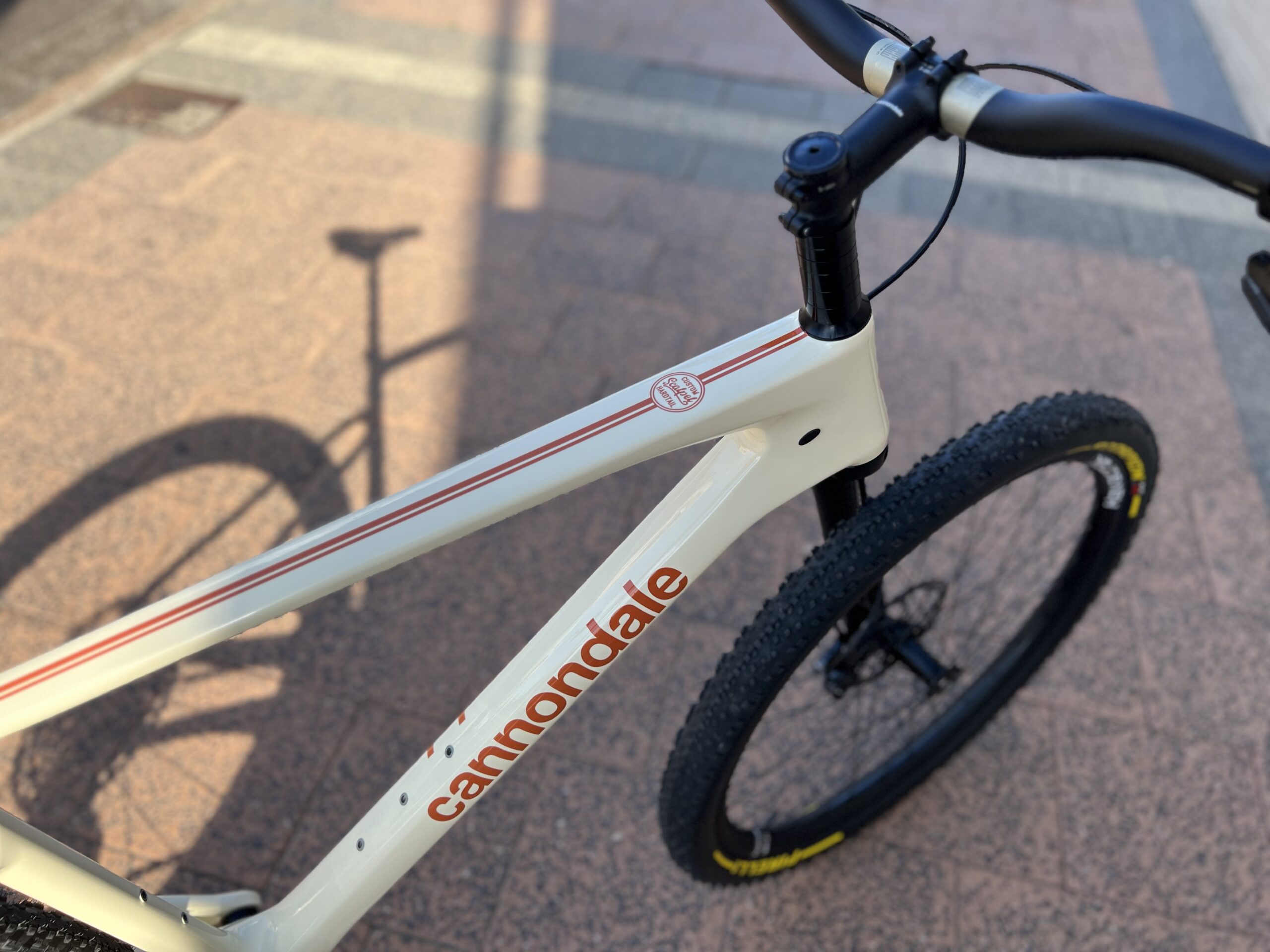Cannondale 29 Scalpel HT Custom *Agent Smith* - Image 4