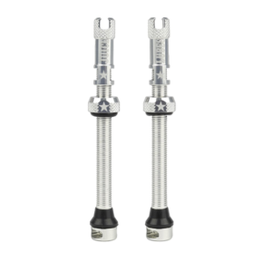 Juice Lubes Tubeless Valves Silver