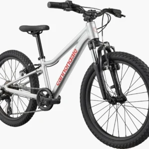 Cannondale 20 Trail Silver